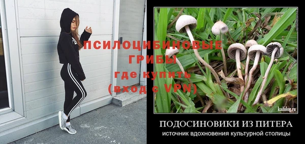 MESCALINE Пересвет